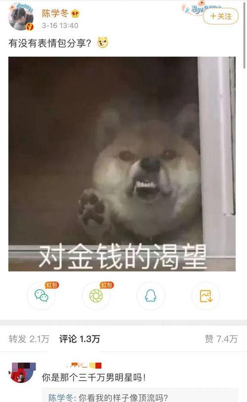 瓜哥带你吃瓜搞笑视频 最近热门事件合集吃瓜兔,热门事件合集，吃瓜兔独家揭秘